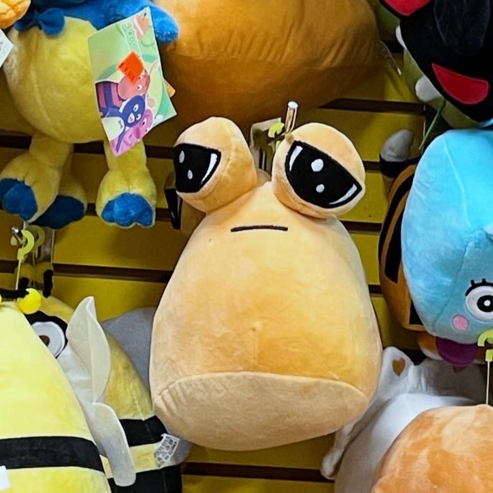 Meet your Posher, Josie